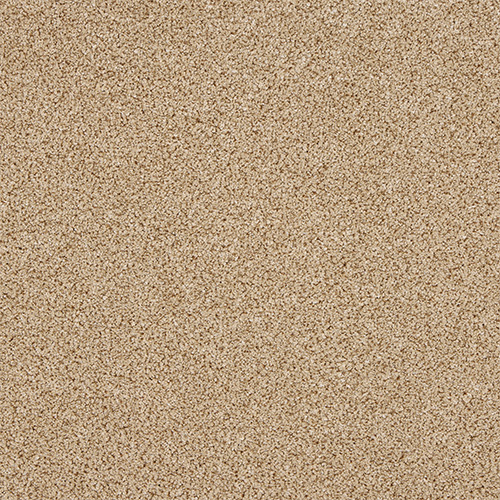 ABI004005