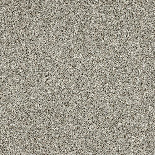 ABI004015
