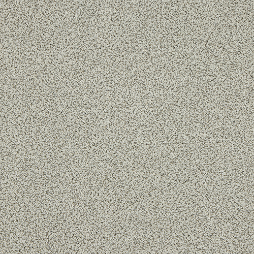 ABI004016