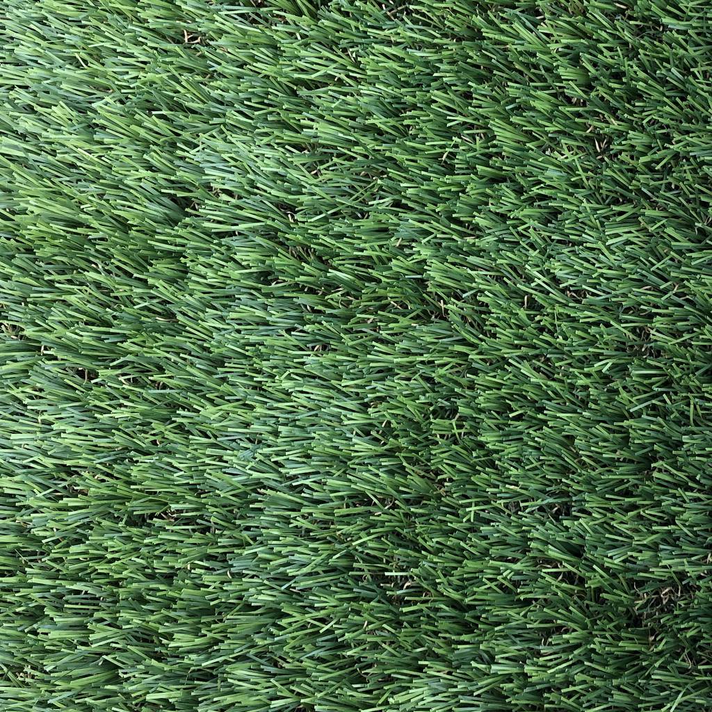 CCG003001