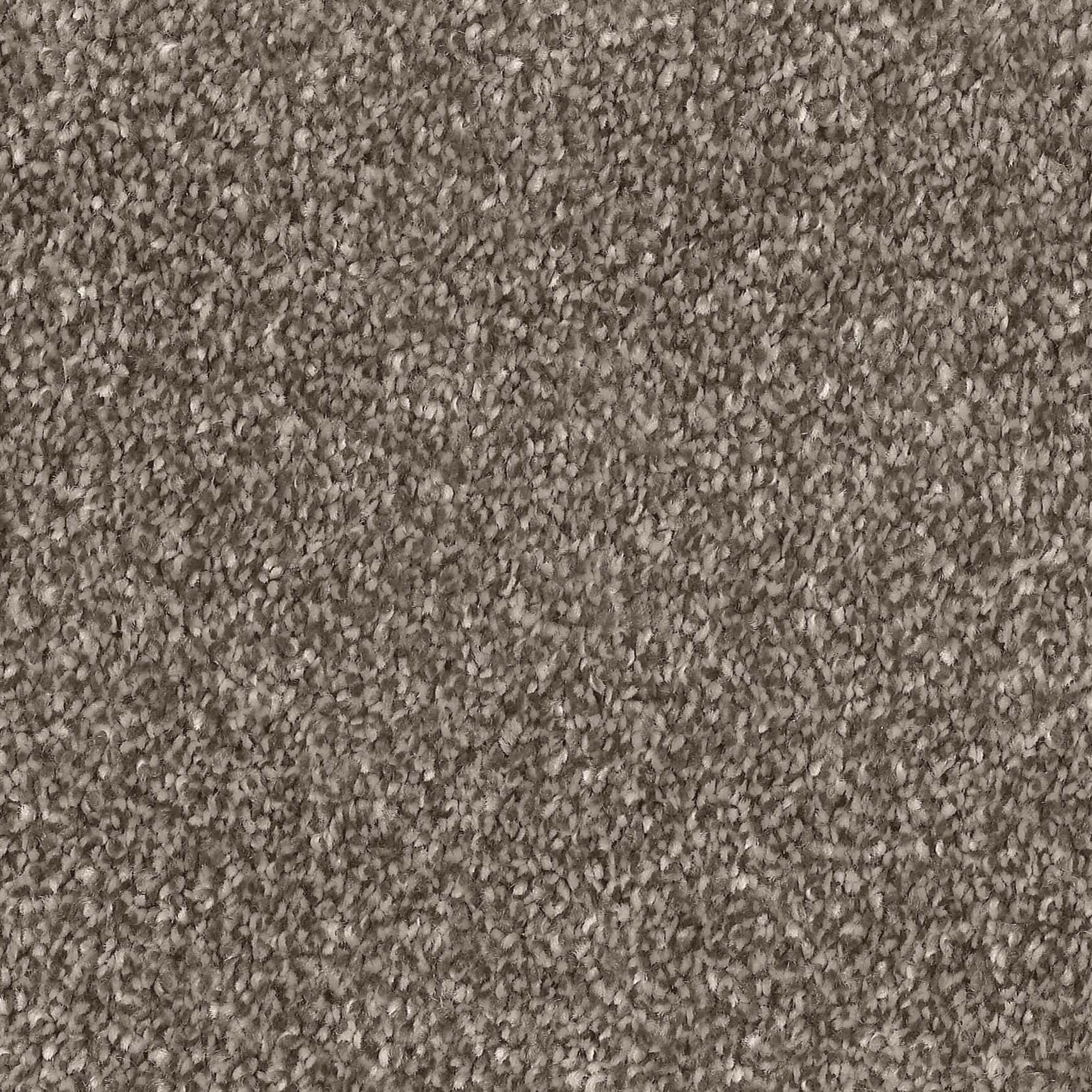 CLA010003