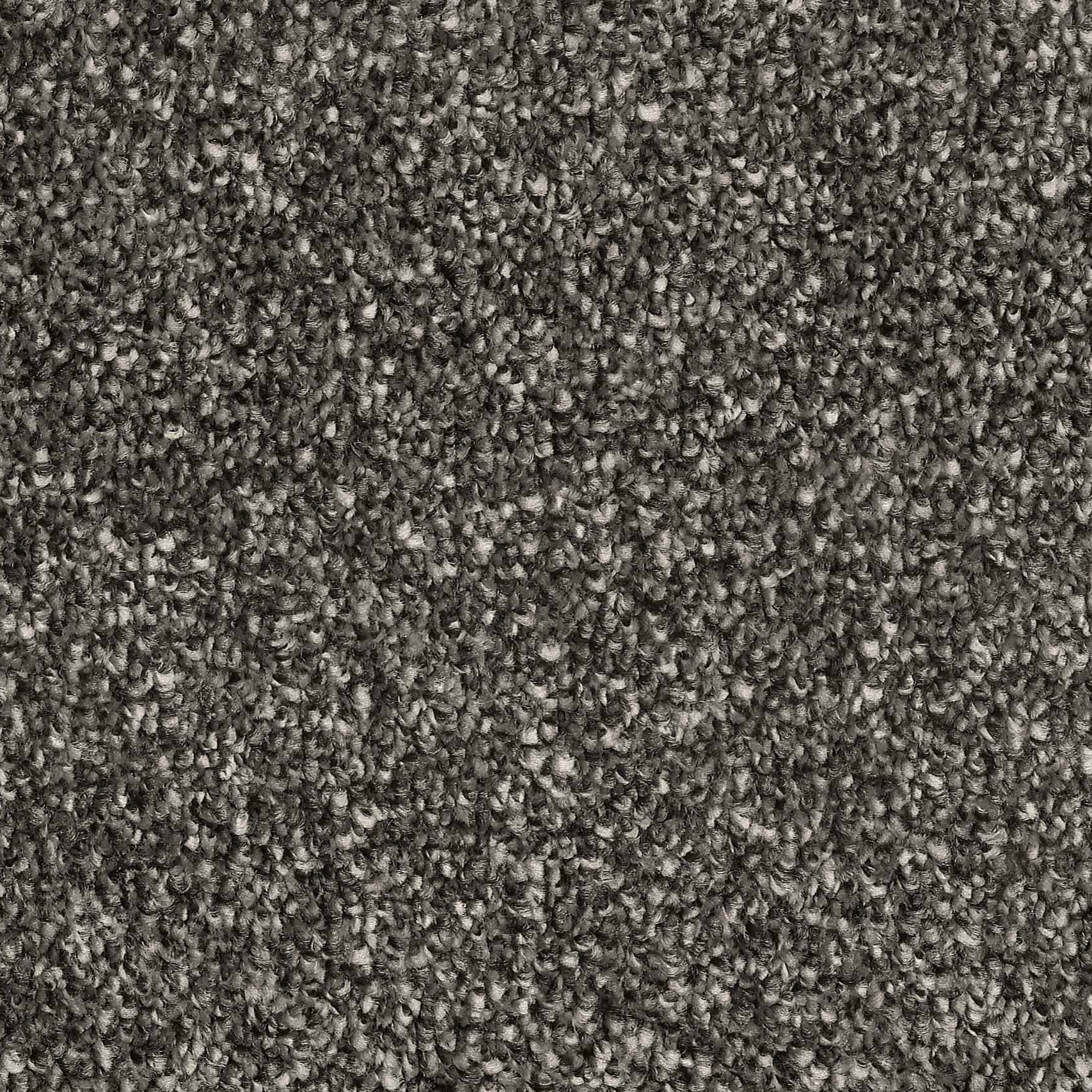 CLA010006