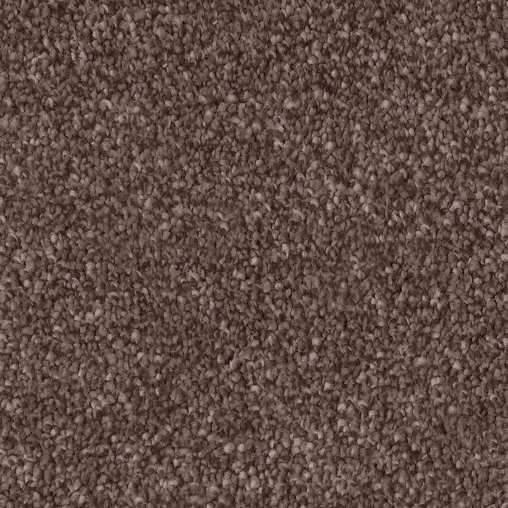 CLA010012