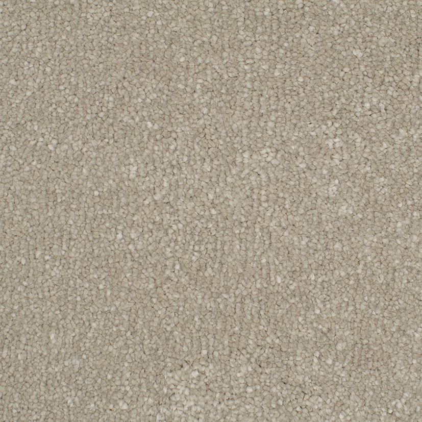 CLA046004