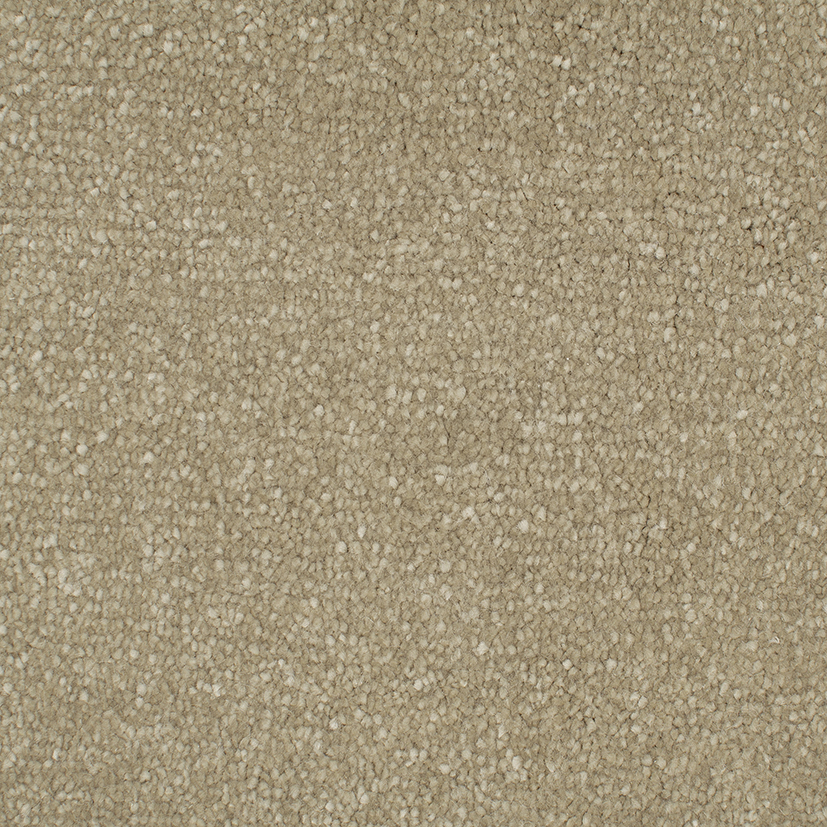 CLA046005