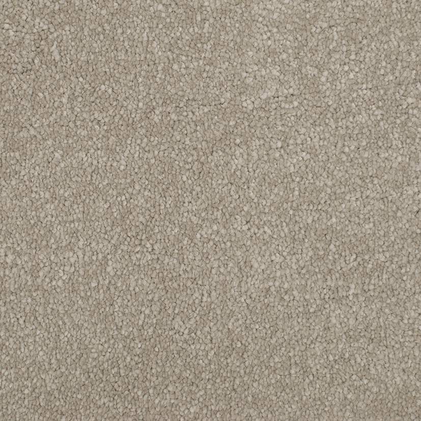 CLA046006
