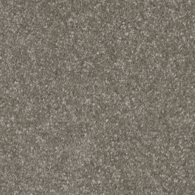 CLA046008