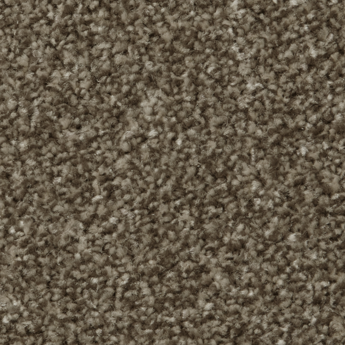 COR001005