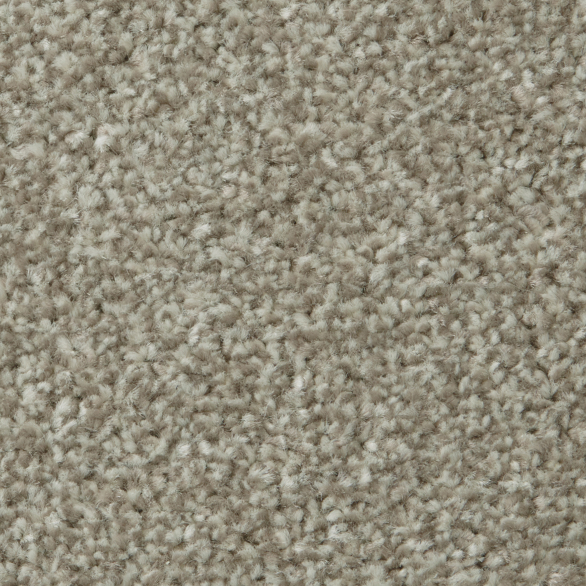 COR001008