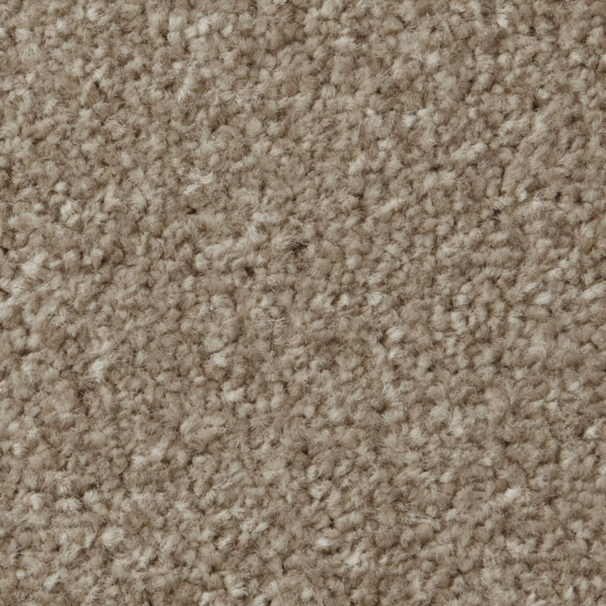 COR001013