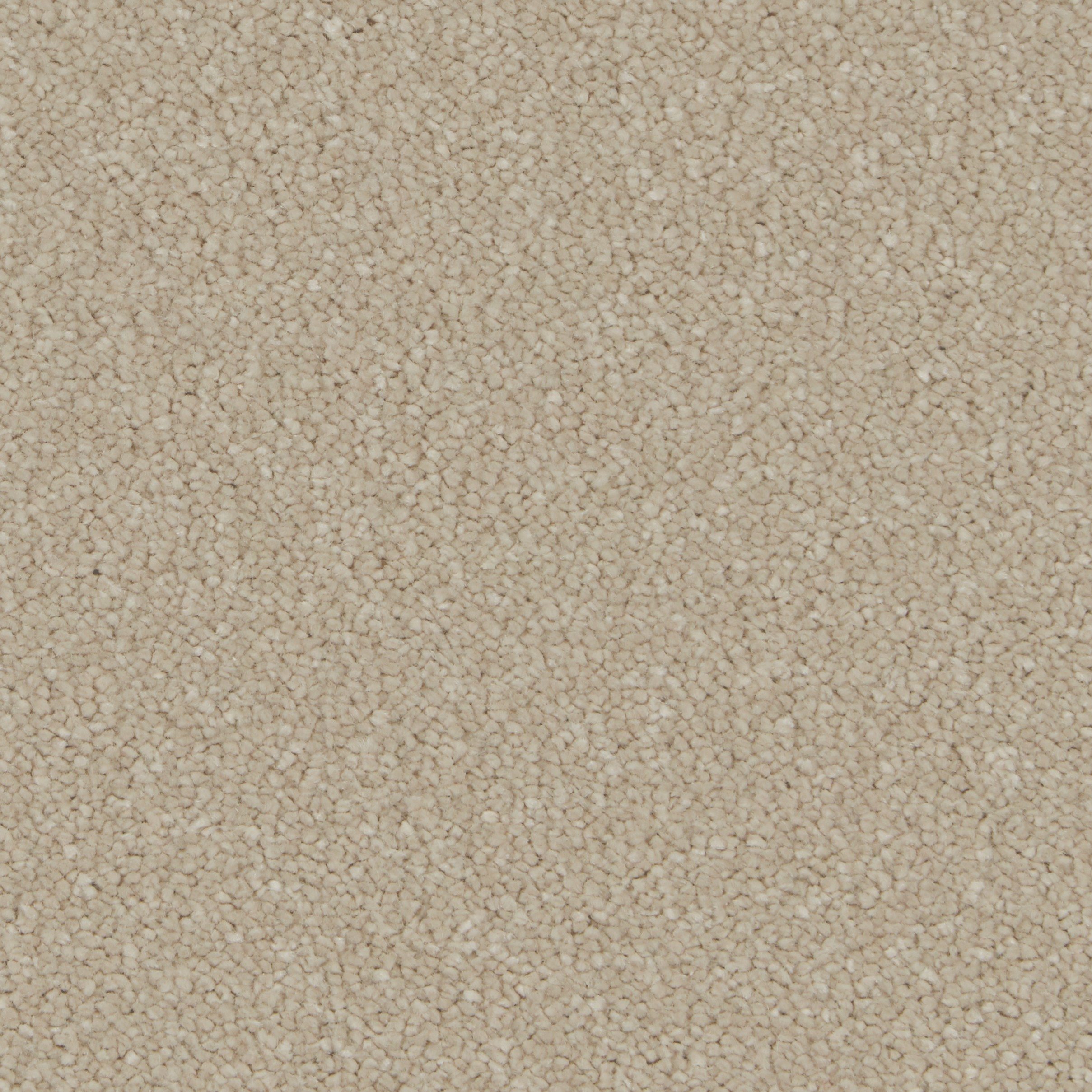 COR022007