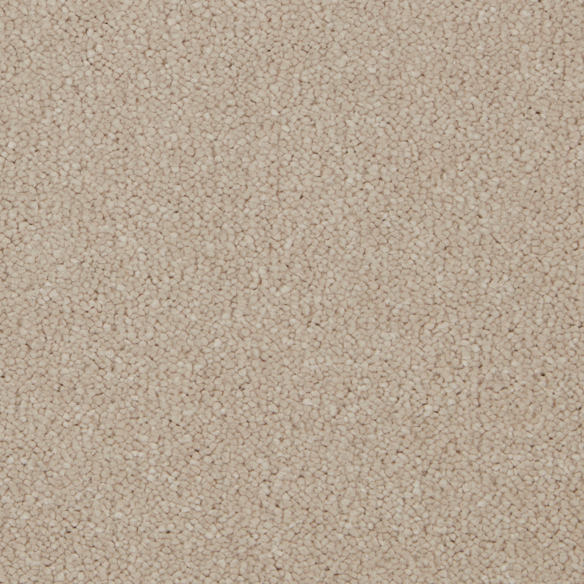 COR022008