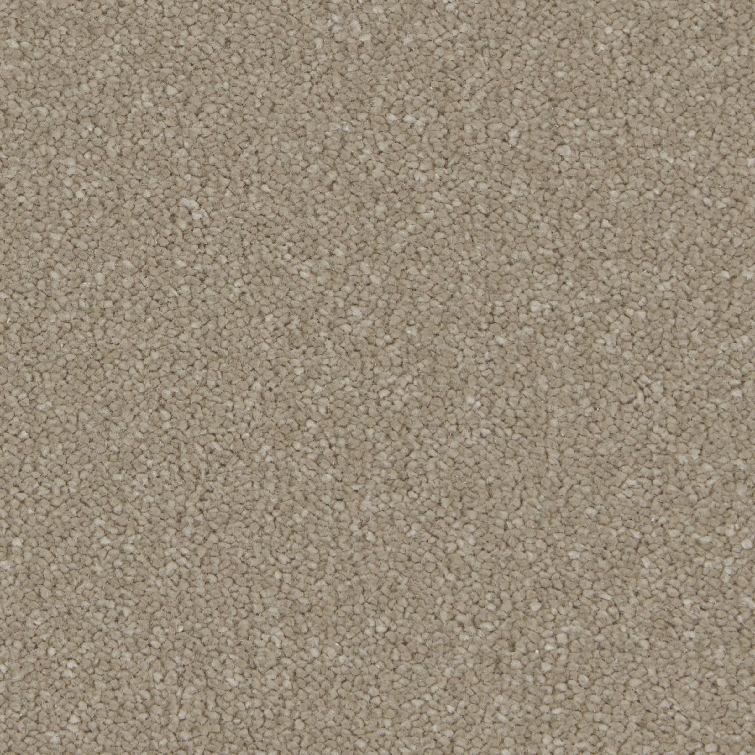 COR022009