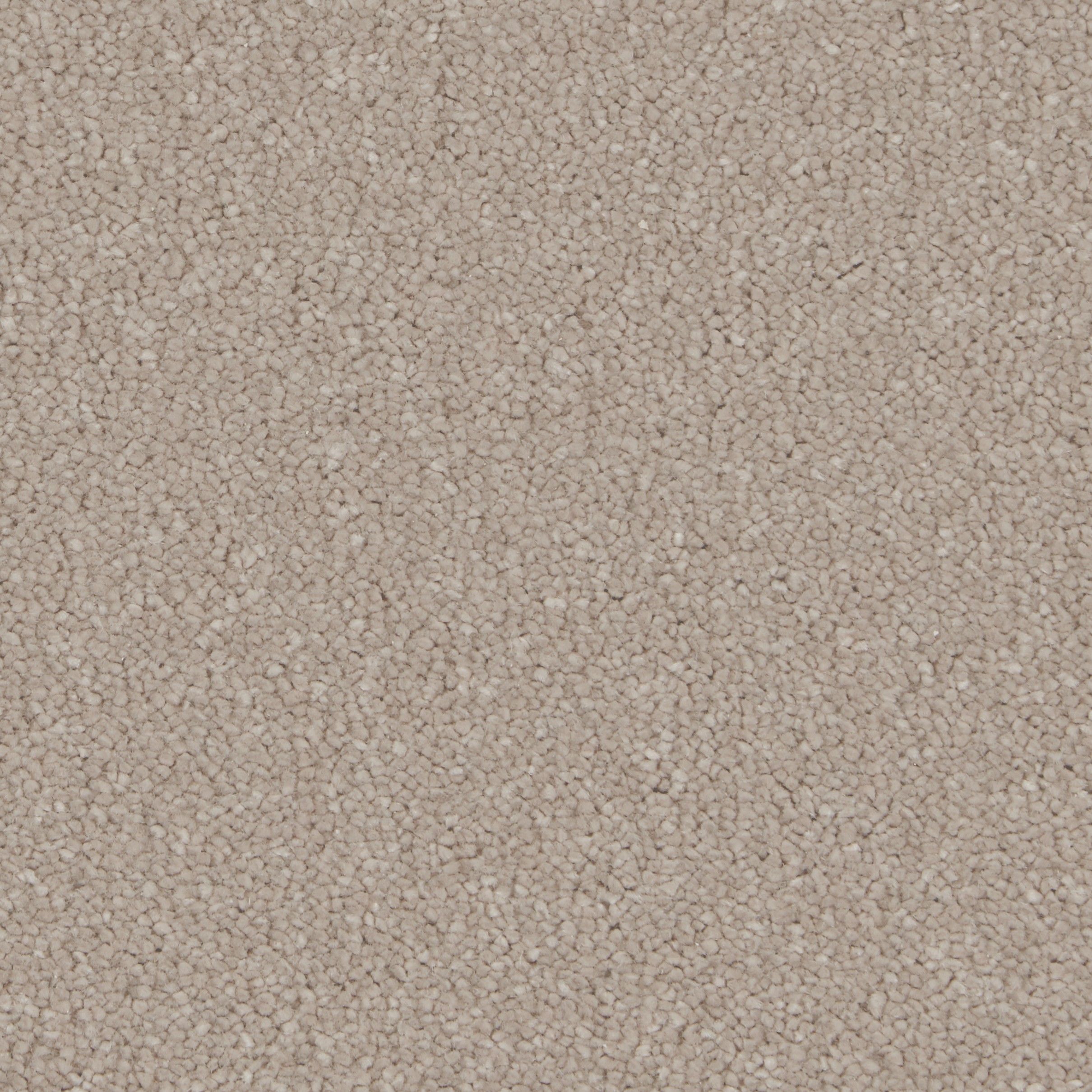 COR022010