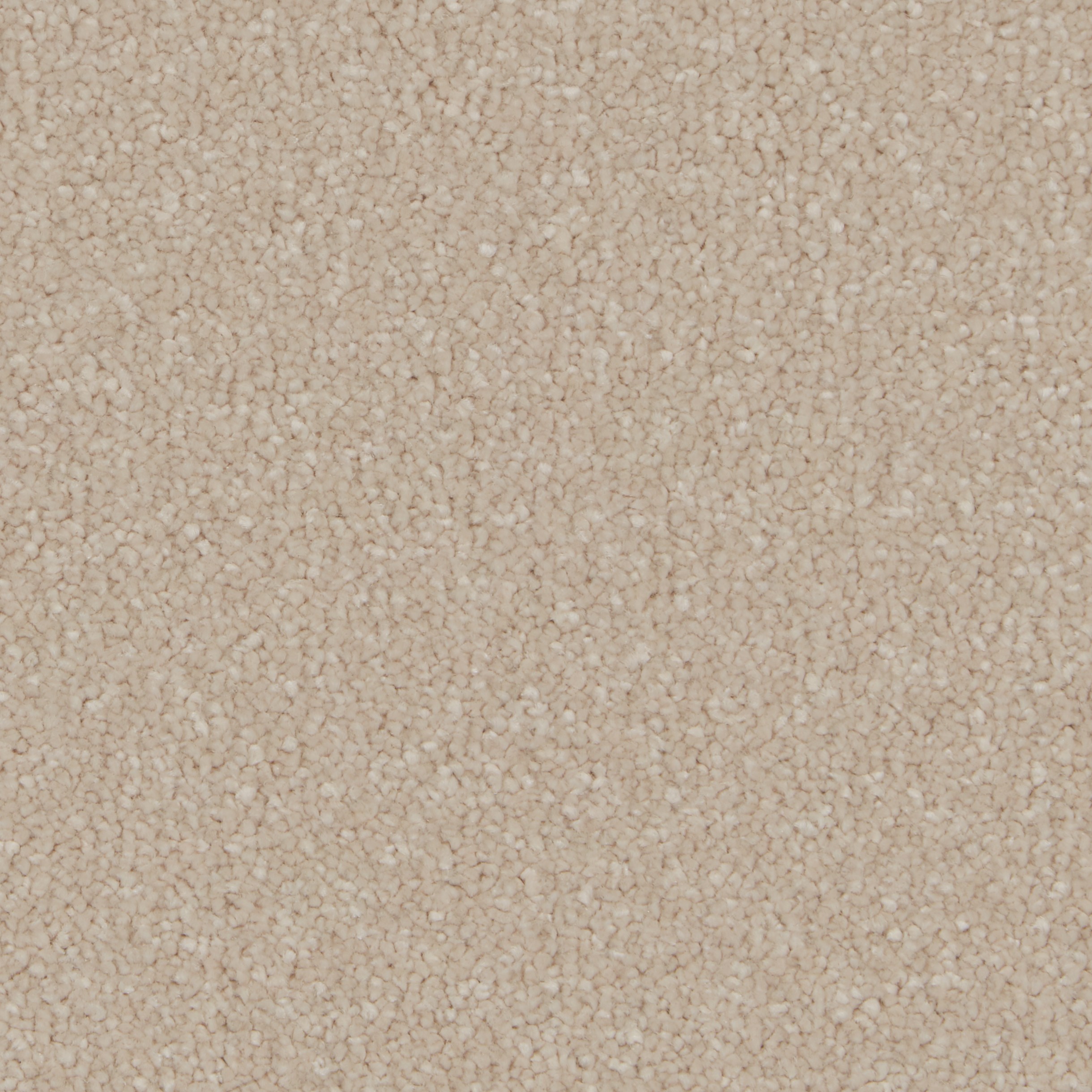 COR022011