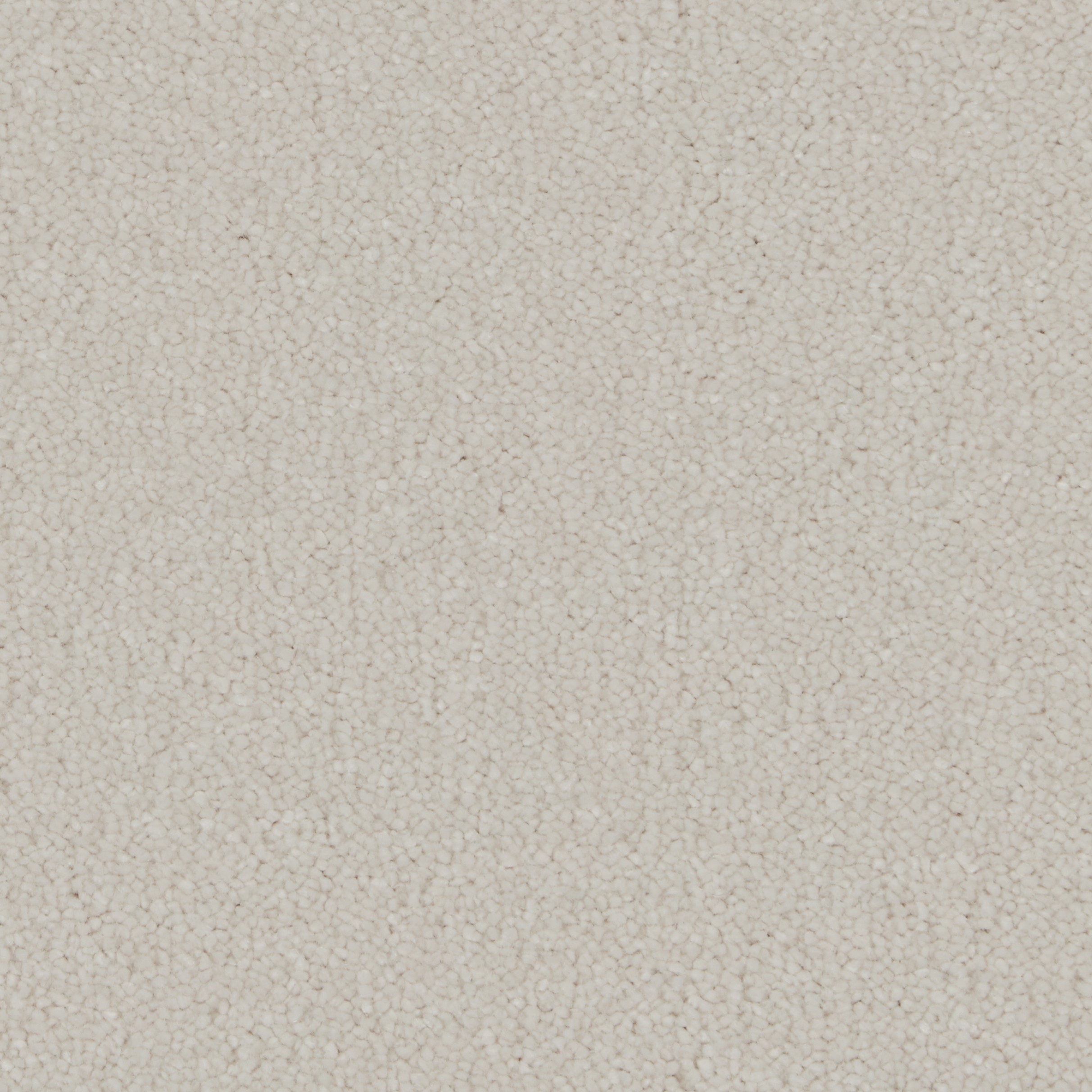COR022013