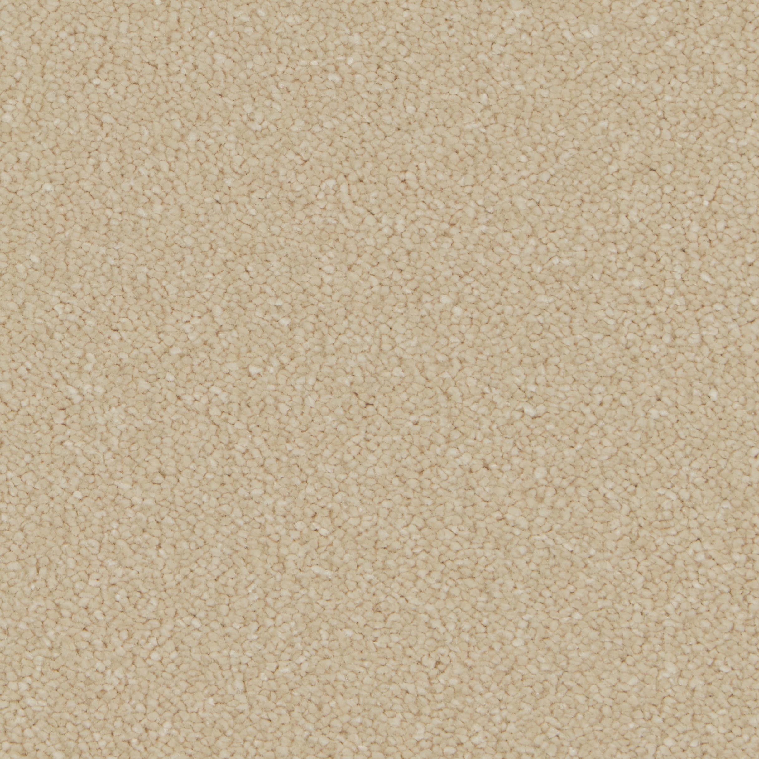COR022014