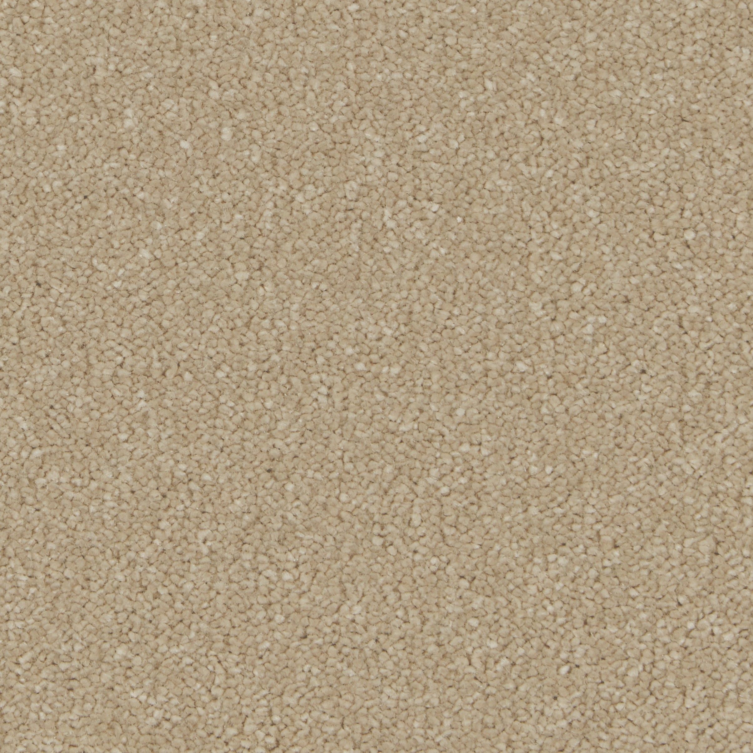 COR022015