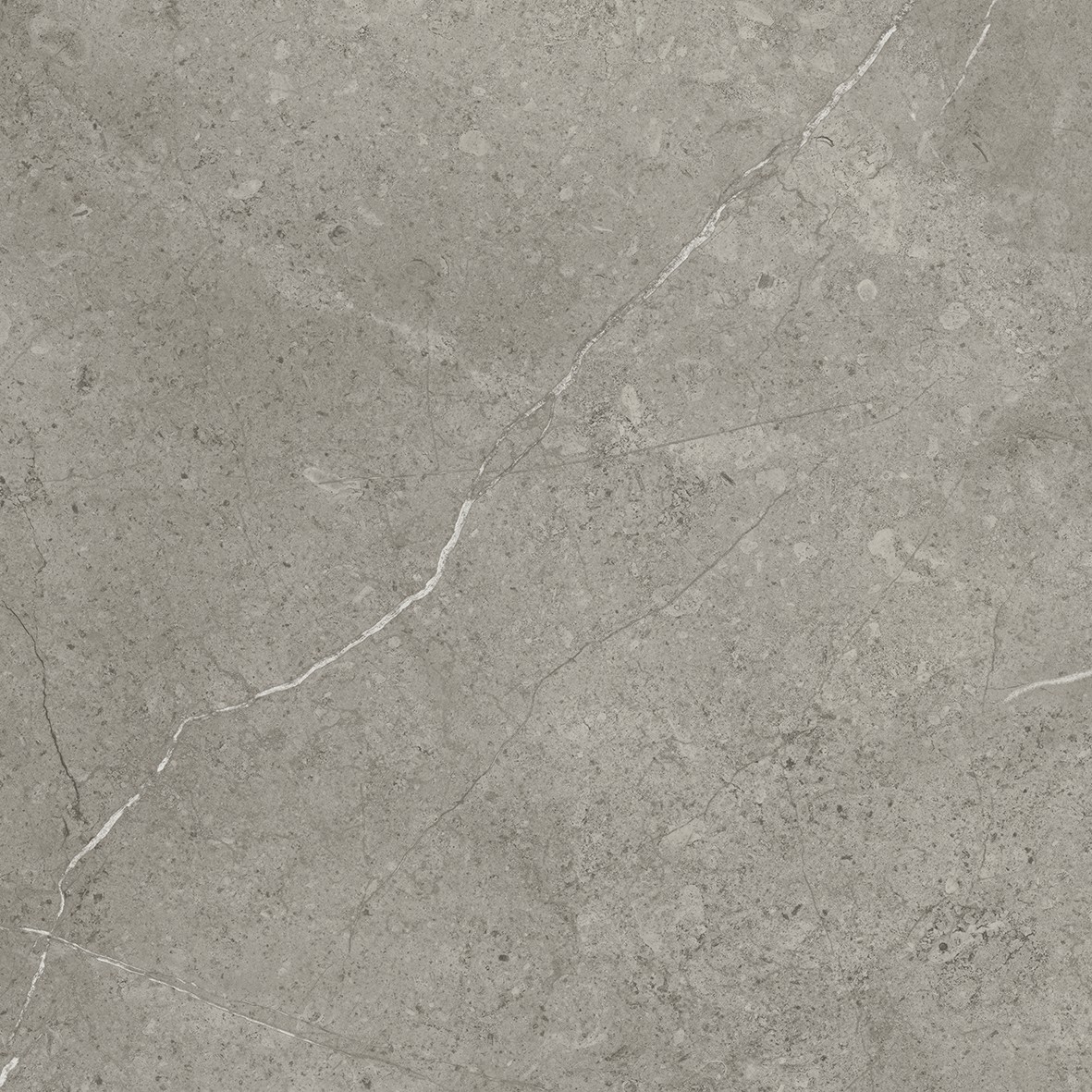 IVC086008