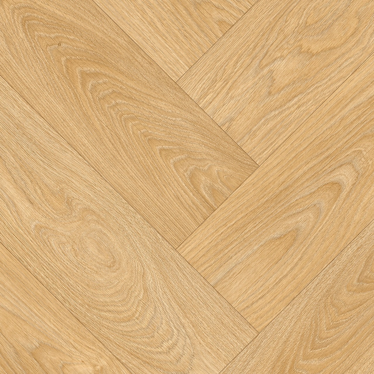 IVC086015