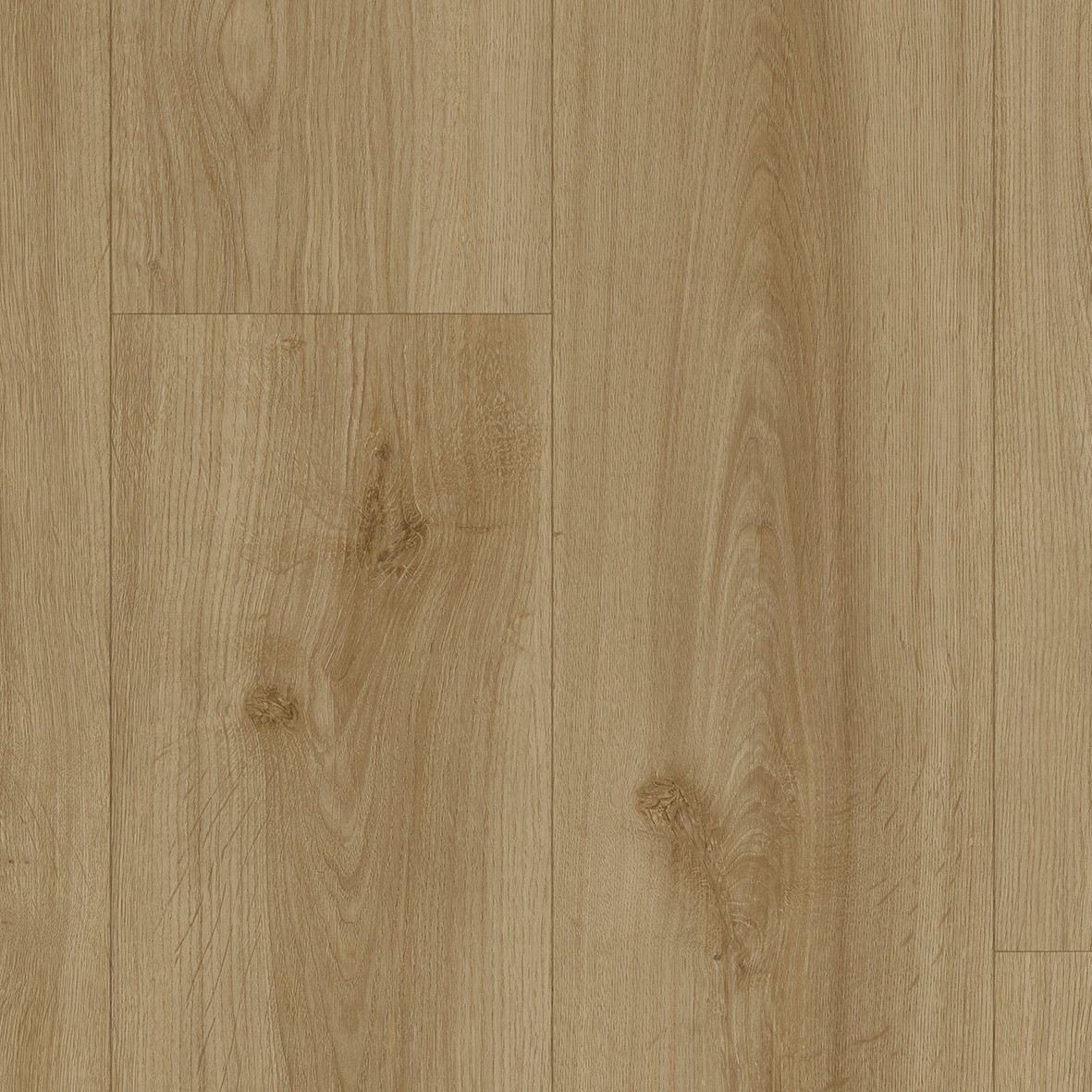 IVC086024
